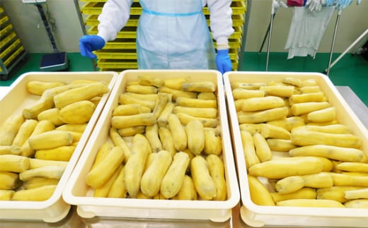 茨城県坂東市のふるさと納税 No.214 坂東市産　干し芋　紅はるか（計740g/180g×3袋・100g×2袋） ／ ほしいも ホシイモ おやつ 茨城県