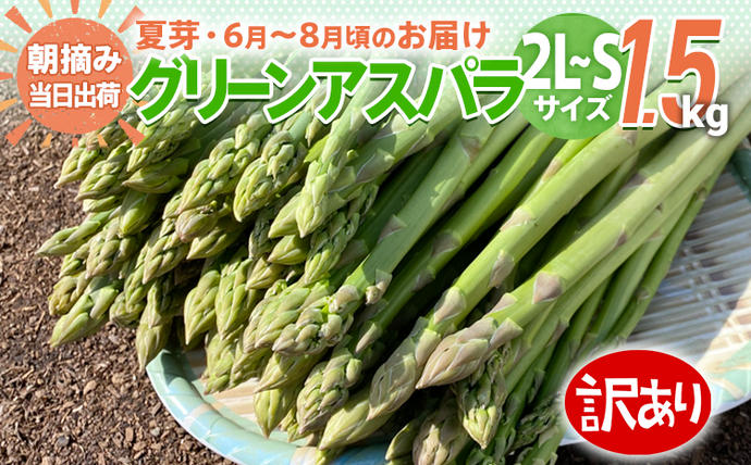 福岡県大木町のふるさと納税 【訳あり】【規格外】 アスパラガス 夏芽 2L～S 1.5kg【6月から8月お届け】BT08