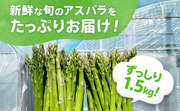福岡県大木町のふるさと納税 【訳あり】【規格外】 アスパラガス 夏芽 2L～S 1.5kg【6月から8月お届け】BT08