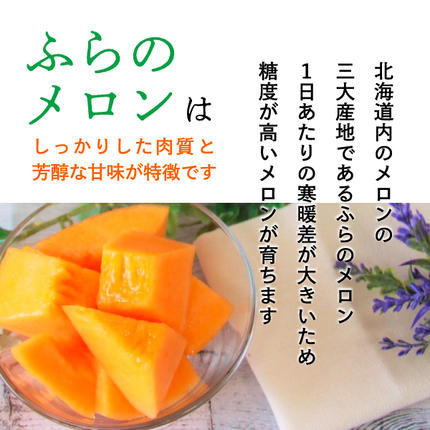 北海道南富良野町のふるさと納税 2026年夏発送  メロン 北海道 ふらの 赤肉メロン 約2.5kg×1玉 JAふらの 厳選 産地直送 赤肉 富良野メロン フルーツ 果物 果実 旬 旬のくだもの デザート おやつ めろん 富良野