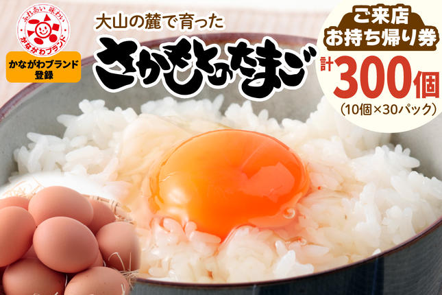 さかもとのたまご「ご来店お持ち帰り用券」合計300個 (10個×30パック
