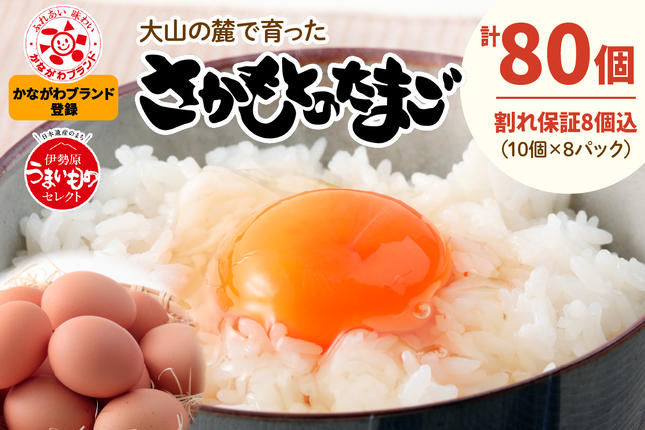 神奈川県伊勢原市のふるさと納税 《2026年4月中旬より順次発送》坂本養鶏 大山の麓で育った さかもとのたまご 80個 (72個＋割れ保証8個)｜伊勢原市 赤玉卵 玉子 鶏卵 生卵 国産 TKG タマゴ 新鮮 大山 鶏 ギフト 安心 安全 親子丼 卵焼き 目玉焼き お菓子 [0926]