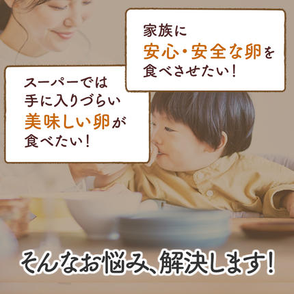 神奈川県伊勢原市のふるさと納税 《2026年4月中旬より順次発送》坂本養鶏 大山の麓で育った さかもとのたまご 80個 (72個＋割れ保証8個)｜伊勢原市 赤玉卵 玉子 鶏卵 生卵 国産 TKG タマゴ 新鮮 大山 鶏 ギフト 安心 安全 親子丼 卵焼き 目玉焼き お菓子 [0926]