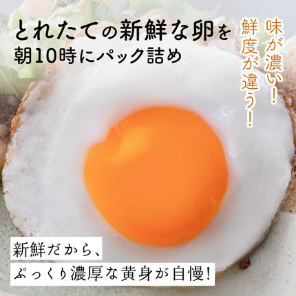 神奈川県伊勢原市のふるさと納税 《2026年4月中旬より順次発送》坂本養鶏 大山の麓で育った さかもとのたまご 80個 (72個＋割れ保証8個)｜伊勢原市 赤玉卵 玉子 鶏卵 生卵 国産 TKG タマゴ 新鮮 大山 鶏 ギフト 安心 安全 親子丼 卵焼き 目玉焼き お菓子 [0926]