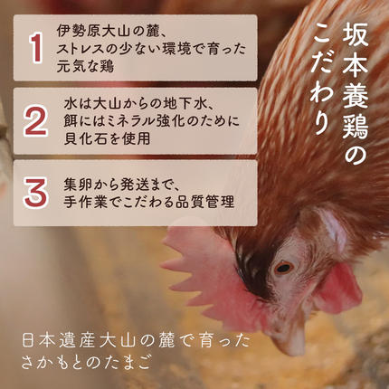 神奈川県伊勢原市のふるさと納税 《2026年4月中旬より順次発送》坂本養鶏 大山の麓で育った さかもとのたまご 80個 (72個＋割れ保証8個)｜伊勢原市 赤玉卵 玉子 鶏卵 生卵 国産 TKG タマゴ 新鮮 大山 鶏 ギフト 安心 安全 親子丼 卵焼き 目玉焼き お菓子 [0926]
