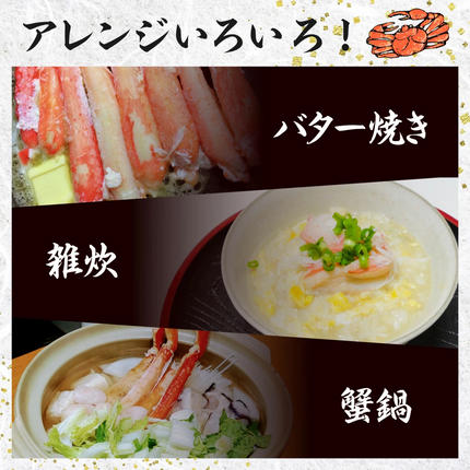 北海道登別市のふるさと納税 【最短1週間以内出荷】訳あり 冷凍 ボイル ずわいがに 足 600g ズワイガニ ハーフポーション | ギフト 2025