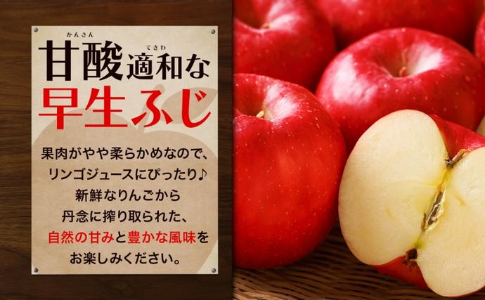 青森県産りんご100％ りんごジュース 1000ml×12本 青森 りんご リンゴ