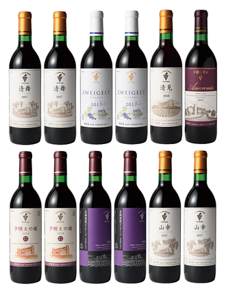 北海道池田町のふるさと納税 十勝ワイン 赤にこだわったビンテージ12本 北海道ワイン 国産ワイン ヴィンテージ ビンテージ 厳選 人気 受賞