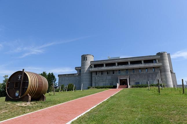 北海道池田町のふるさと納税 十勝ワイン 赤にこだわったビンテージ12本 北海道ワイン 国産ワイン ヴィンテージ ビンテージ 厳選 人気 受賞