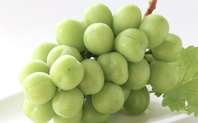 岡山県赤磐市のふるさと納税 桃 ぶどう 2026年 先行予約 白桃 3玉 合計約900g（1玉約300g） シャインマスカット 晴王 1房 550g以上 もも 葡萄 詰合せ 岡山県産 国産 フルーツ 果物 ギフト 桃茂実苑