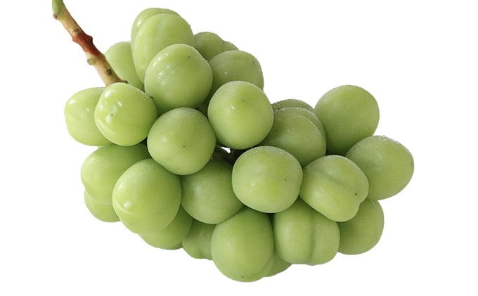 岡山県赤磐市のふるさと納税 桃 ぶどう 2026年 先行予約 白桃 3玉 合計約900g（1玉約300g） シャインマスカット 晴王 1房 550g以上 もも 葡萄 詰合せ 岡山県産 国産 フルーツ 果物 ギフト 桃茂実苑