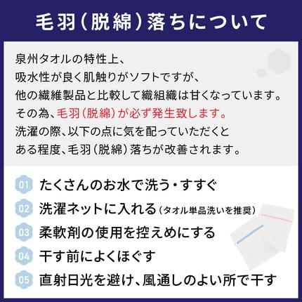 大阪府泉南市のふるさと納税 【 泉州タオル 】 泉州美人 バスタオル ２枚 （ 利休鼠 ）【039D-223】