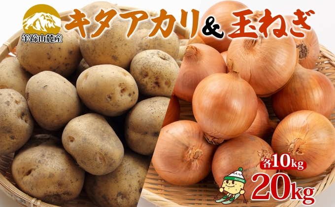 北海道倶知安町のふるさと納税 北海道産 じゃがいも キタアカリ 玉ねぎ Lサイズ 各約10kg ジャガイモ 北あかり 馬鈴薯 ポテト 玉葱 常備野菜 根菜 産直 JAようてい 送料無料 北海道北海道のジャガイモ 食品