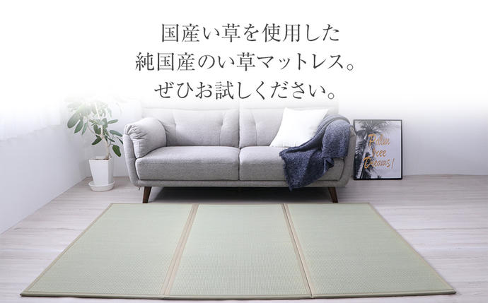 福岡県大木町のふるさと納税 い草マットレス　（100×210）　AA038