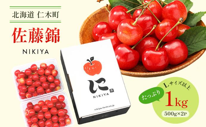 先行受付 北海道 仁木町産 さくらんぼ 佐藤錦 1kg（500g×2）Lサイズ