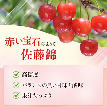 さくらんぼ 2027年発送 北海道 仁木町産 佐藤錦 1kg(500g×2)Lサイズ