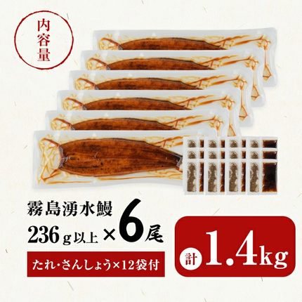 鹿児島県志布志市のふるさと納税 【数量限定】超特大！鹿児島県産 山田水産の霧島湧水鰻(計1400g以上・236g以上×6尾) c5-039-yy