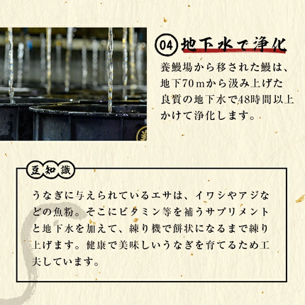 鹿児島県志布志市のふるさと納税 【数量限定】超特大！鹿児島県産 山田水産の霧島湧水鰻(計1400g以上・236g以上×6尾) c5-039-yy