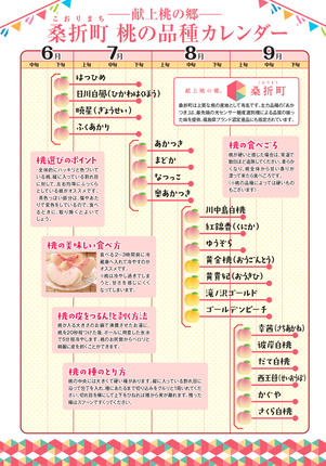 福島県桑折町のふるさと納税 No.096 もも【あかつき・2026年産先行受付】特秀　約3kg「献上桃の郷」ブランド品【返礼品発送期間：令和8年7月～8月頃】 ／ 桃 モモ 果物 福島県 特産品
