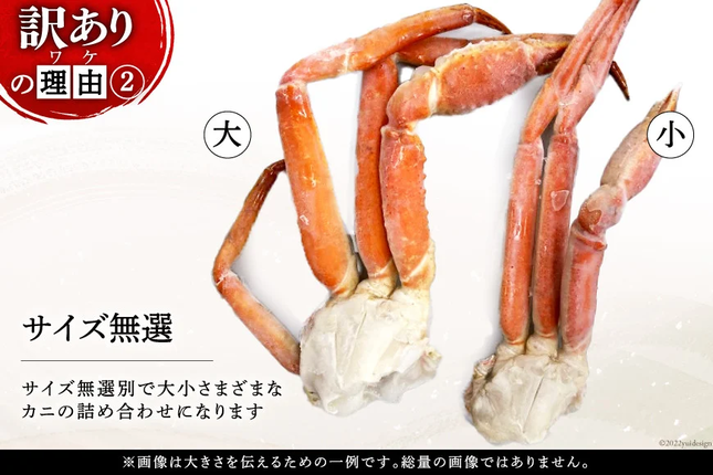 宮城県気仙沼市のふるさと納税 訳あり ボイル ずわいがに 肩付き脚 総重量1kg [カネダイ 宮城県 気仙沼市 20564325] カニ かに 魚介類 ズワイガニ ずわい蟹 ズワイ蟹 ずわい ズワイ 蟹 カニ カニ脚 蟹脚 不揃い 規格外 海鮮 ご褒美