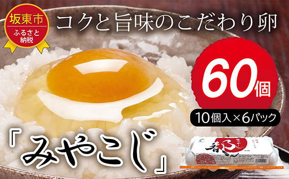 茨城県坂東市のふるさと納税 No.216 たまごのプロが認める伝承卵「みやこじ」60個 ／ タマゴ 玉子 茨城県 特産品