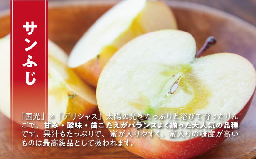 長野県飯綱町のふるさと納税 りんご サンふじ 訳あり 10kg 令和8年度収穫分 2026年12月上旬頃から2026年12月中旬頃まで順次発送予定 宮本ファーム エコファーマー 減農薬栽培 傷 変形 サビ あり 長野県 飯綱町 [1492]