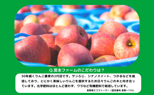 長野県飯綱町のふるさと納税 りんご サンふじ 訳あり 10kg 令和8年度収穫分 2026年12月上旬頃から2026年12月中旬頃まで順次発送予定 宮本ファーム エコファーマー 減農薬栽培 傷 変形 サビ あり 長野県 飯綱町 [1492]