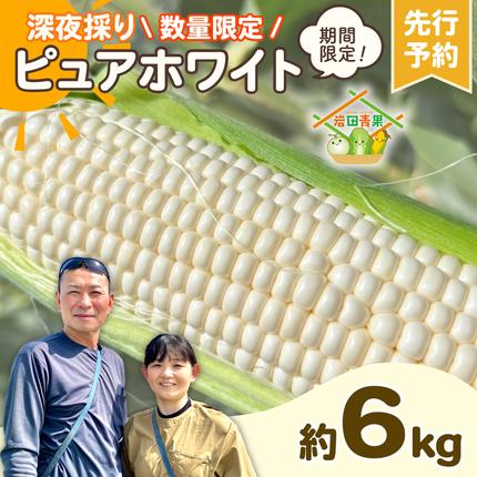 【先行予約 2026年6月下旬以降発送 】