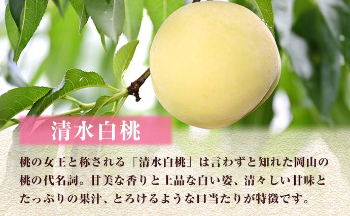 2027年 先行予約】 桃 岡山県産 清水 白桃 約1.5kg(4～6玉) 《2027年7