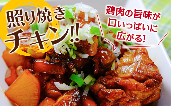 宮崎県日南市のふるさと納税 小分けで便利!! 真空パック 数量限定 鶏もも肉 定期便 3か月 お楽しみ 鶏肉 もも 切身 総重量9kg 国産 鳥 チキン カット 人気 小分け おかず お弁当 おつまみ 食品 から揚げ 焼肉 モモ肉 万能食材 大満足 おすそ分け お取り寄せ 宮崎県 日南市 送料無料_GD9-25