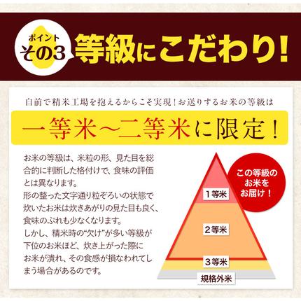 熊本県長洲町のふるさと納税 令和7年産 ひのひかり 選べる精米方法 白米 or 無洗米 5kg 10kg 20kg《7-14日以内に出荷予定(土日祝除く)》 熊本県産 米 精米 ひの 長洲町