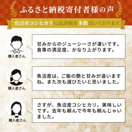 新潟県魚沼市のふるさと納税 令和7年産 雪室貯蔵 無洗米 お米マイスター厳選 魚沼産 コシヒカリ 1等米 2.5kg　米 こしひかり 白米