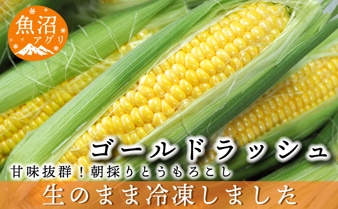 新潟県魚沼市のふるさと納税 魚沼産 冷凍生とうもろこしと冷凍粒とうもろこしのセット 野菜 国産 日本産 簡単 便利 コーン 冷凍コーン ゴールドラッシュ 新潟県産 食材 食べ物 直送 産地直送