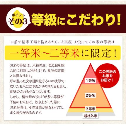 熊本県御船町のふるさと納税 令和7年産 無洗米 も 選べる 森のくまさん 10kg 5kg × 2袋  白米 熊本県産 単一原料米 森くま《7-14日以内に出荷予定(土日祝除く)》《精米方法をお選びください》送料無料