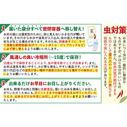 熊本県御船町のふるさと納税 無洗米 も選べる ひのひかり 5kg 10kg 20kg 令和7年産《1-5日以内に出荷予定(土日祝除く)》熊本県産 ふるさと納税 無洗米 白米 精米 ひの 米 こめ ふるさとのうぜい ヒノヒカリ コメ お米 おこめ