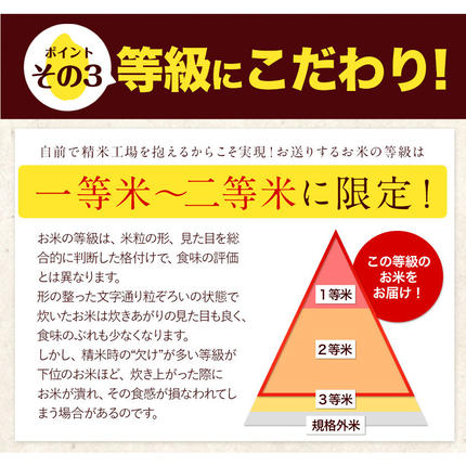 熊本県御船町のふるさと納税 【3ヶ月定期便】令和7年産 ひのひかり 白米 or 無洗米 《申し込み翌月から出荷》 選べる内容量 計3回お届け  白米 無洗米 熊本県産 単一原料米 ひの 熊本県 御船町