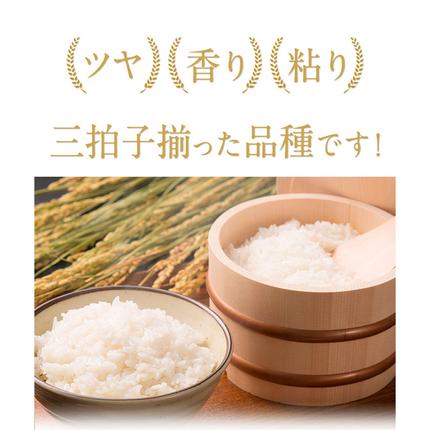 熊本県御船町のふるさと納税 【3ヶ月定期便】令和7年産 ひのひかり 白米 or 無洗米 《申し込み翌月から出荷》 選べる内容量 計3回お届け  白米 無洗米 熊本県産 単一原料米 ひの 熊本県 御船町