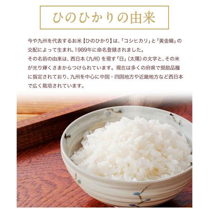 熊本県御船町のふるさと納税 【3ヶ月定期便】令和7年産 ひのひかり 白米 or 無洗米 《申し込み翌月から出荷》 選べる内容量 計3回お届け  白米 無洗米 熊本県産 単一原料米 ひの 熊本県 御船町