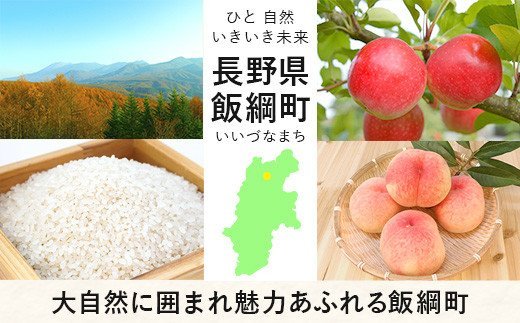長野県飯綱町のふるさと納税 【2025年12月13日〆きり！年内発送 間に合います！】 【 年越しそば 】 半生そば 6食 セット 沖縄県への配送不可 2025年11月中旬頃から2025年12月下旬頃まで順次発送予定 ふるさと振興公社 年越し 信州 そば 蕎麦 ソバ 長野県 飯綱町 [0295]