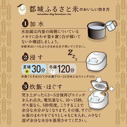 宮崎県都城市のふるさと納税 都城ふるさと米(ひのひかり)無洗米10kg_27-9001