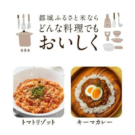 宮崎県都城市のふるさと納税 都城ふるさと米(ひのひかり)無洗米10kg_27-9001