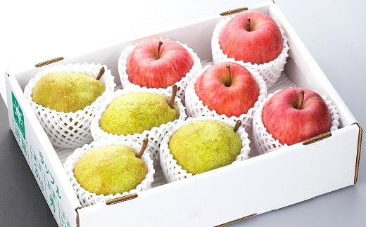 山形県南陽市のふるさと納税 【令和8年産先行予約】 JA ラ・フランス と ふじリンゴ の詰合せ 計約4kg 《令和8年11月中旬～12月上旬発送》 『JA山形おきたま』 山形県 南陽市 [716-R8]