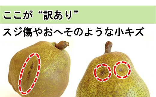 山形県南陽市のふるさと納税 【令和8年産先行予約】 〈訳あり品 家庭用〉 ラ・フランス 約5kg (10～18玉 中～大玉) 《令和8年11月上旬～発送》 『旬の果実 佐藤市右衛門農園』 ラフランス 西洋梨 洋なし 訳あり 果物 フルーツ デザート 山形県 南陽市 [1047]