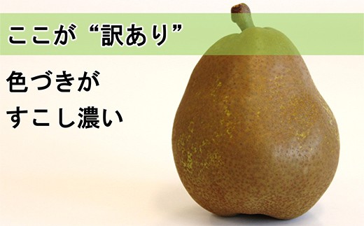山形県南陽市のふるさと納税 【令和8年産先行予約】 〈訳あり品 家庭用〉 ラ・フランス 約5kg (10～18玉 中～大玉) 《令和8年11月上旬～発送》 『旬の果実 佐藤市右衛門農園』 ラフランス 西洋梨 洋なし 訳あり 果物 フルーツ デザート 山形県 南陽市 [1047]
