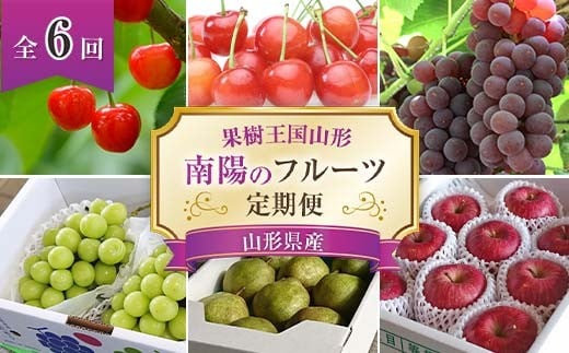 【令和8年産先行予約】 《定期便6回》 果