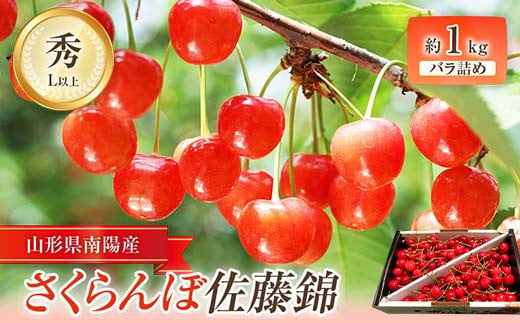 【令和9年産先行予約】 さくらんぼ 「佐藤