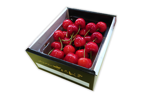 山形県南陽市のふるさと納税 【令和8年産先行予約】 さくらんぼ 「紅秀峰」 約500g (特秀 2L) 《令和8年6月下旬～発送》 『マルエ青果』 先行予約 サクランボ 果物 フルーツ 山形県 南陽市 [1406]