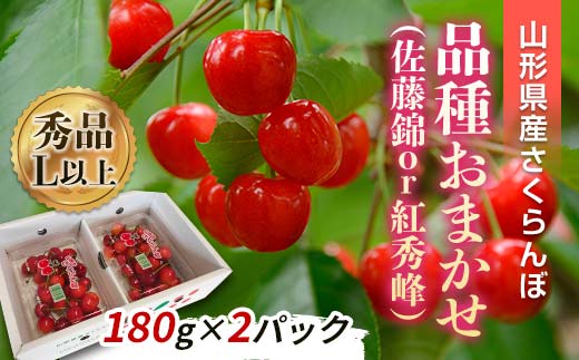 山形県南陽市のふるさと納税 【令和8年産先行予約】 さくらんぼ 「佐藤錦または紅秀峰」 360g (180g×2パック 秀 L以上) 《令和8年6月上旬～発送》 『南陽中央青果市場』 サクランボ 山形県 南陽市 [1475]