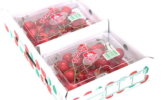 山形県南陽市のふるさと納税 【令和8年産先行予約】 さくらんぼ 「佐藤錦または紅秀峰」 360g (180g×2パック 秀 L以上) 《令和8年6月上旬～発送》 『南陽中央青果市場』 サクランボ 山形県 南陽市 [1475]