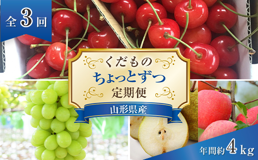 【令和9年産先行予約】 《定期便3回》 く